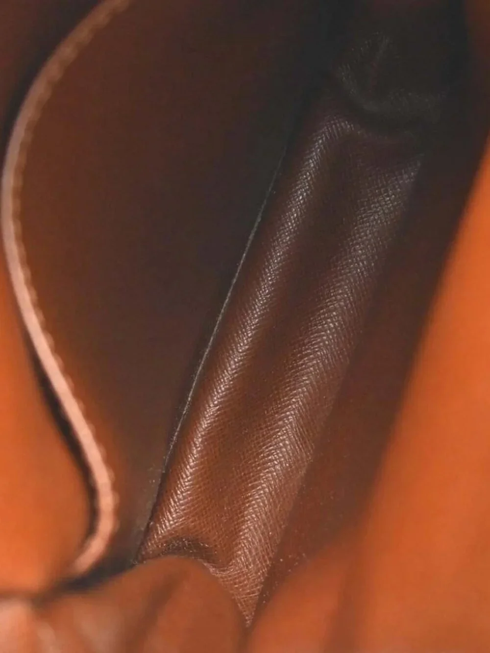LOUIS VUITTON AMAZON CROSS BODY SHOULDER BAG